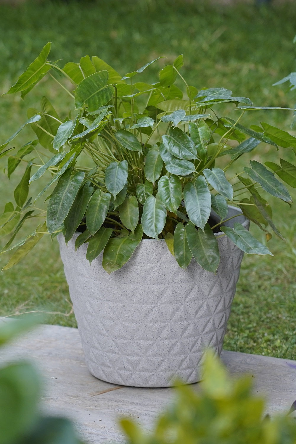 Sydney Round Planter