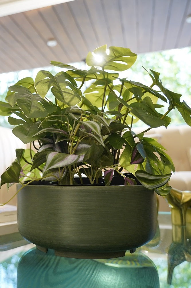 round indoor plants Buy Ecosphere's Terra Verde Round Flower Pot Online Tabletop Décor – Rupal Trading Corporation