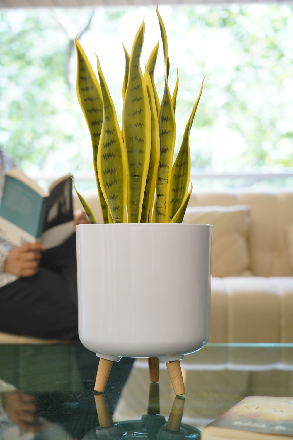 Luna Footed Series - 3