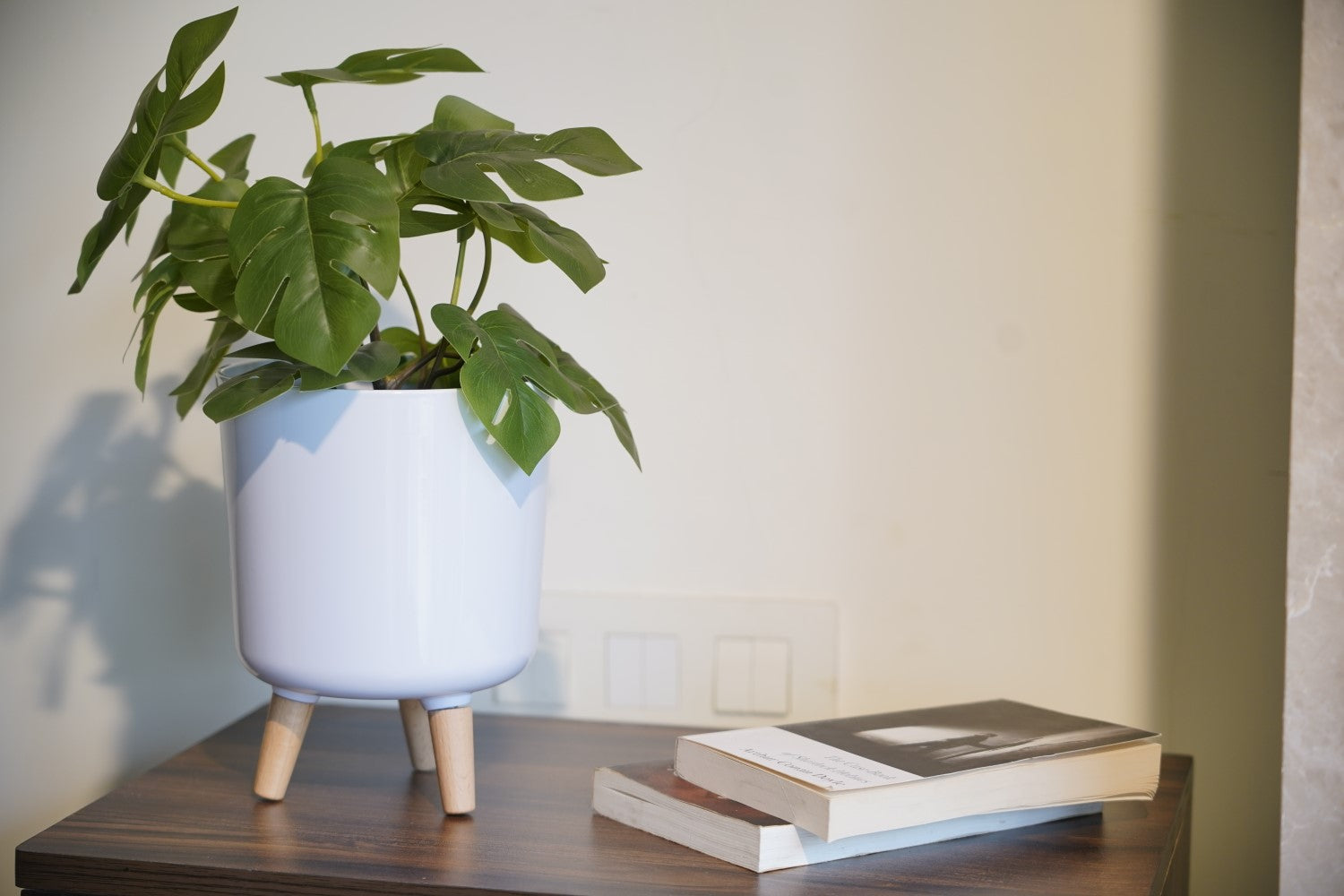 footed planter indoor Shop Luna Footed Series 2