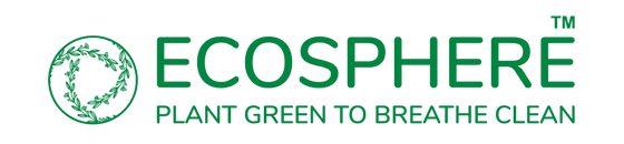 Rupal Trading Corporation