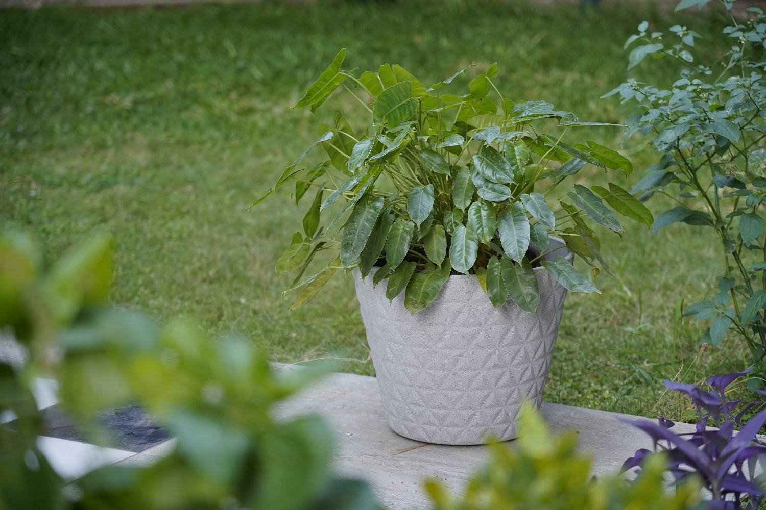 Sydney Round Planter