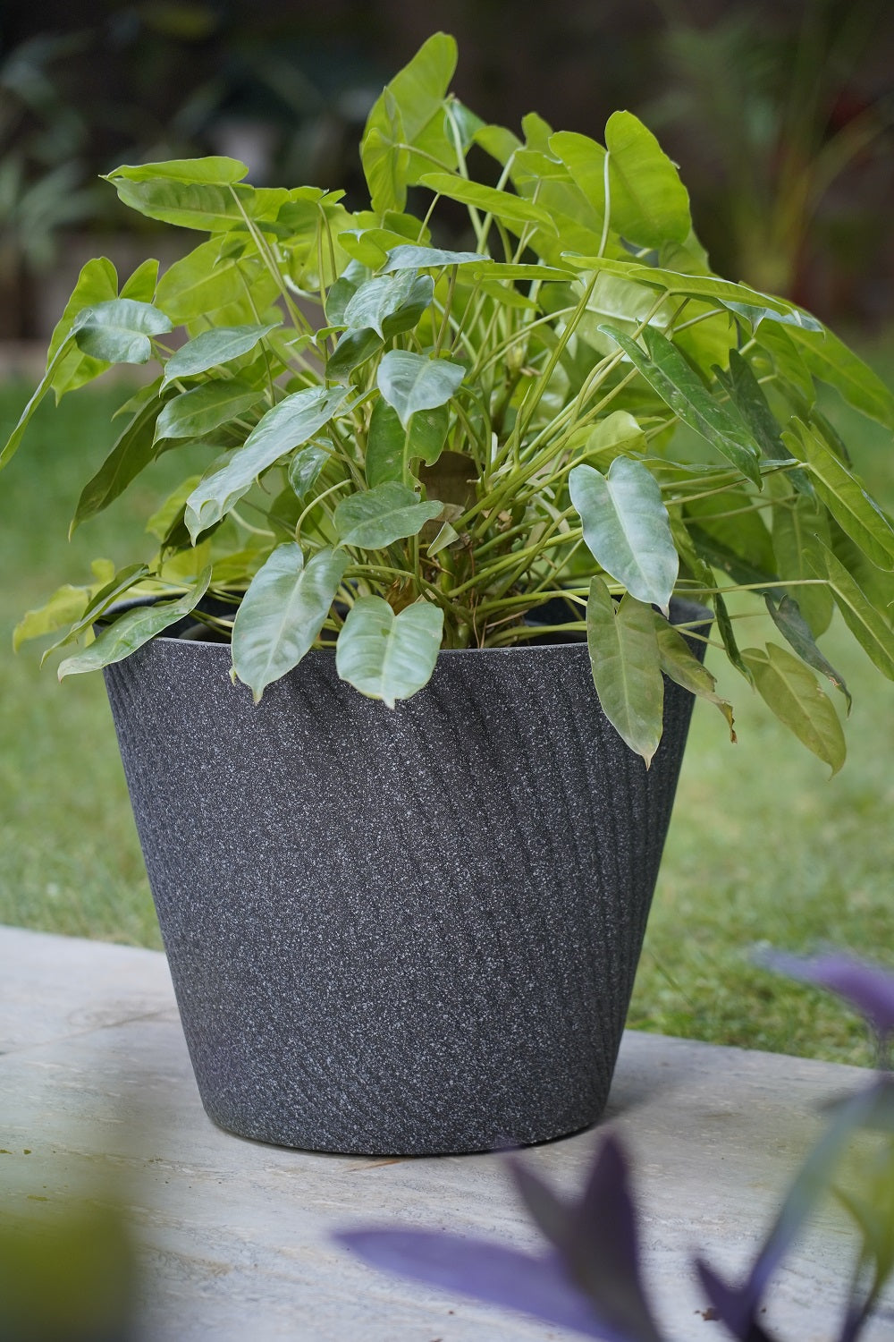 Twirl Round Planter